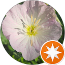 Timberly H. profile picture