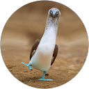 Samantha B. profile picture