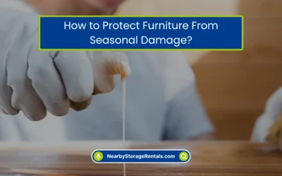 How to Protect Furniture From Seasonal Damage? (2026)